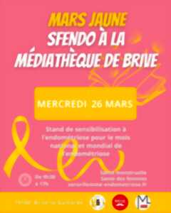 photo Stand de sensibilisation à l'endométriose (Médiathèque