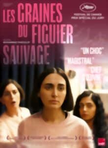 photo Cinéma : Les graines du figuier sauvage