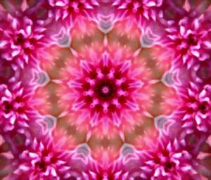 photo Week-end bien-être et créativité : les mandalas fleurs du jardin