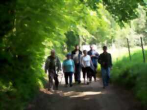 Journée randonnée à Saint-Ouen des Besaces