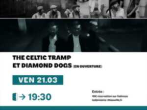 photo Concert The Celtic Tramp et Diamond Dogs