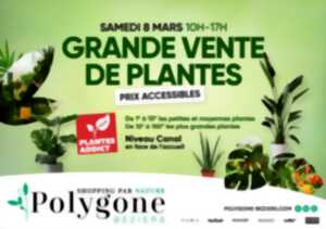 photo GRANDE VENTE DE PLANTES