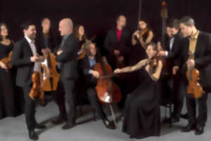 photo Festival de Musique Romantique : Orchestre de Chambre de Toulouse