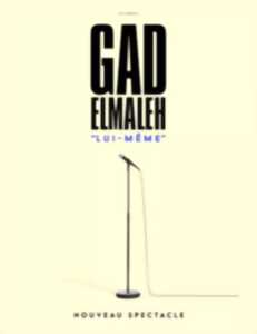 photo Spectacle : Gad Elmaleh à Niort