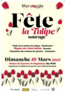 Fête de la Tulipe Sauvage