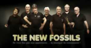 Concert Rock : The New Fossils