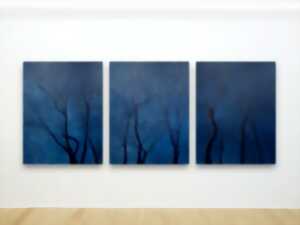 Exposition - bleu - Le bleu dans la nature