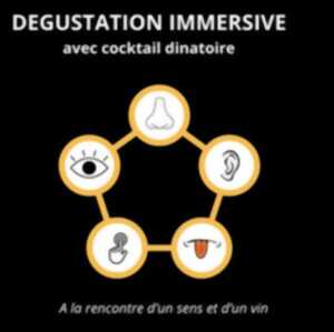 photo SOIRÉE COCKTAIL DINATOIRE : DEGUSTATION IMMERSIVE