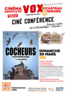 Ciné Conférence - 