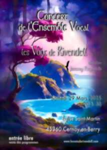 photo Concert de l'ensemble