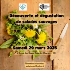 photo Découverte et dégustation de salades sauvages