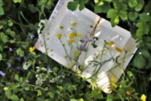 photo Apprendre à reconnaître les arbres et fabriquer son herbier