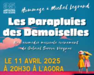 photo Les Parapluies des Demoiselles La Comédie Musicale