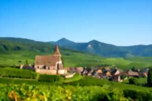 photo Balade à travers le vignoble au domaine VIELWEBER