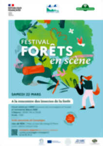 Journée internationale des forêts : À la rencontre des insectes de la forêt !