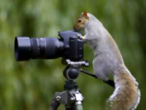 photo Les Rencontres Photographiques en Bastide