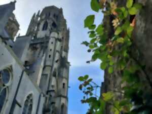 Cathédrale Toul, entre pierres et nature - un pèlerin à la cathédrale