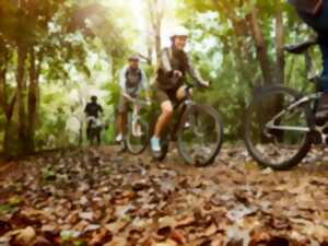 Rando VTT et marche pédestre