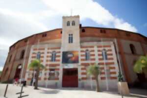 photo VISITA GUIADA LA PLAZA DE TOROS DE BÉZIERS