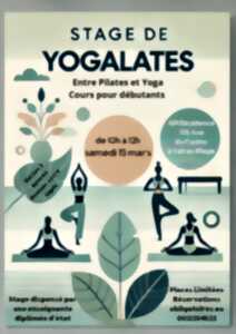 photo STAGE DE YOGALATES