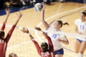 MATCH DE VOLLEY BALL