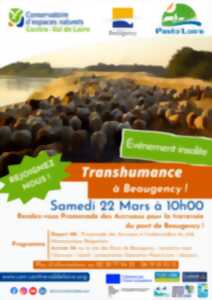 Transhumance à Beaugency