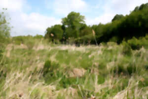 photo Fête de la nature à Vesles-et-Caumont