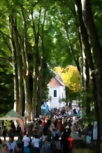 La Forêt des Livres chez Gonzague Saint Bris