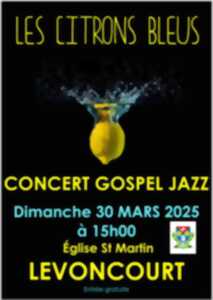 photo CONCERT LES CITRONS BLEUS