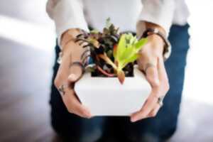 Balade découverte des plantes