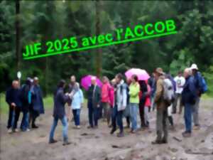 photo Journée internationale des forêts avec l’Accob