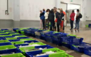 photo Visite Pays d’art et d’histoire :