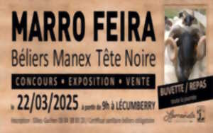 photo Marro Feira: foire aux béliers Manex tête noire