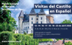 ¡ Visitas comentadas del castillo en castellano !