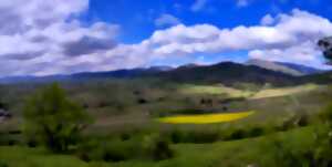 photo Balade à la découverte des Vignes et minéraux avec Charlotte