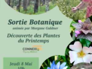 photo Découverte des plantes du Printemps