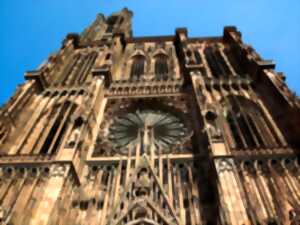 A la découverte de la Cathédrale - rencontre avec Pierre Beaugey