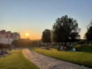 Soirée Pique-nique panoramique au château Royal d'Amboise-25 Juillet