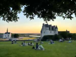 photo Soirée Pique-nique panoramique au château Royal d'Amboise-18 Juillet