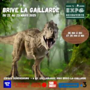 photo Expo Découverte : l'histoire des dinosaures (Espace Derichebourg)