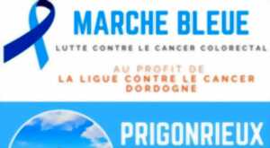 photo Marche Bleue