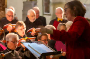 photo Concert