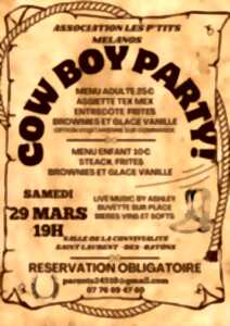 Cowboy party