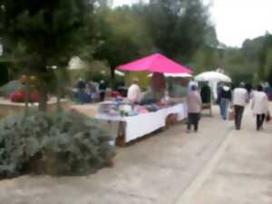 photo Vide grenier de l'ESM football club