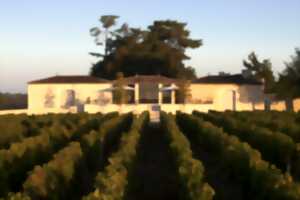 photo Concert au Château de Ferrand