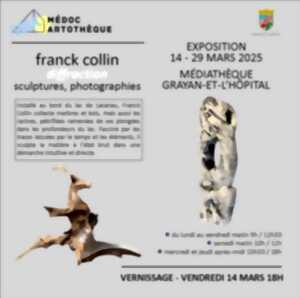 Exposition Franck Collin : Sculptures & Photographies