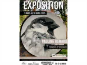 photo Exposition « Tondos d’oiseaux » par Pauline RENARD à Terres d’oiseaux