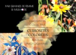 photo Exposition de peinture à Gauriac : Curiosités colorées