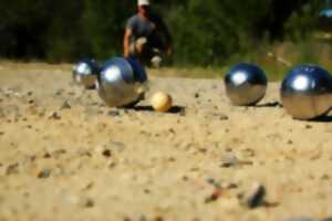 photo Concours de pétanque