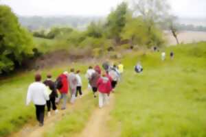 photo Marche - La balade des Trois Pouys